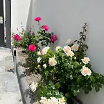 Casa Via Romana