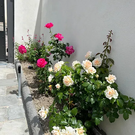 Casa Via Romana