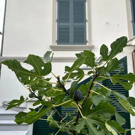 Casa Via Romana Appartement Lucca